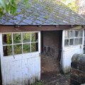 Frog Manor